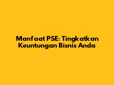Manfaat PSE: Tingkatkan Keuntungan Bisnis Anda
