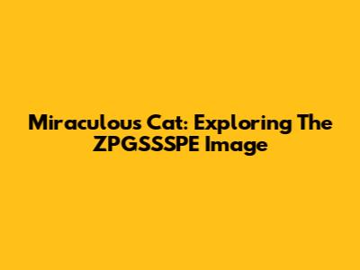 Miraculous Cat: Exploring The ZPGSSSPE Image