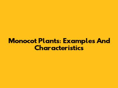 Monocot Plants: Examples And Characteristics