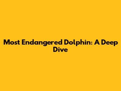 Most Endangered Dolphin: A Deep Dive