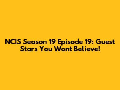 NCIS Season 19 Episode 19: Guest Stars You Won't Believe!