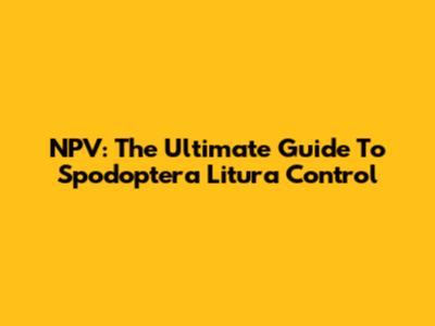 NPV: The Ultimate Guide To Spodoptera Litura Control