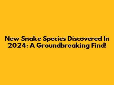 New Snake Species Discovered In 2024: A Groundbreaking Find!