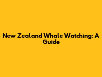 New Zealand Whale Watching: A Guide