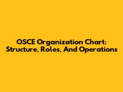 OSCE Organization Chart: Structure, Roles, And Operations