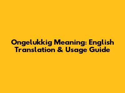 Ongelukkig Meaning: English Translation & Usage Guide