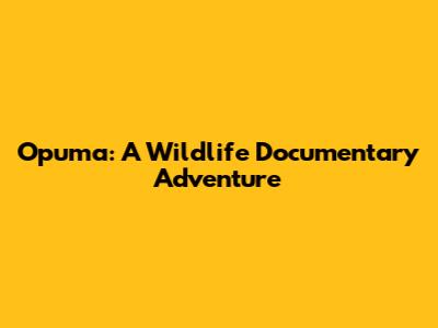 Opuma: A Wildlife Documentary Adventure