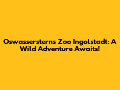 Oswassersterns Zoo Ingolstadt: A Wild Adventure Awaits!