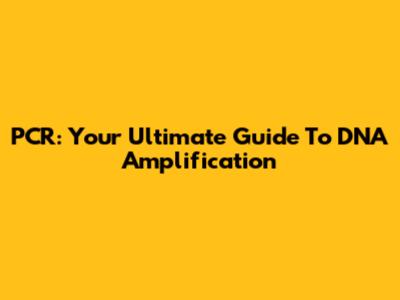 PCR: Your Ultimate Guide To DNA Amplification