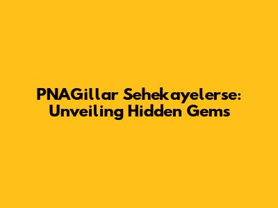 PNAGillar Sehekayelerse: Unveiling Hidden Gems