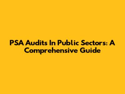 PSA Audits In Public Sectors: A Comprehensive Guide