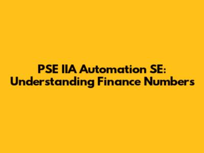 PSE IIA Automation SE: Understanding Finance Numbers