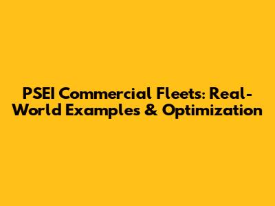 PSEI Commercial Fleets: Real-World Examples & Optimization