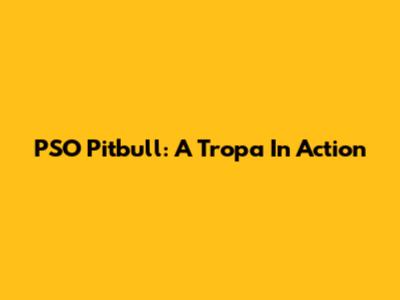 PSO Pitbull: A Tropa In Action