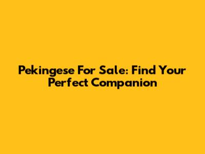 Pekingese For Sale: Find Your Perfect Companion