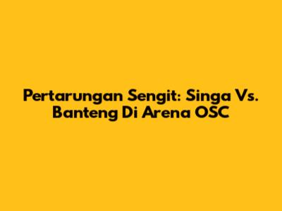 Pertarungan Sengit: Singa Vs. Banteng Di Arena OSC