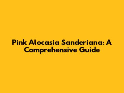 Pink Alocasia Sanderiana: A Comprehensive Guide