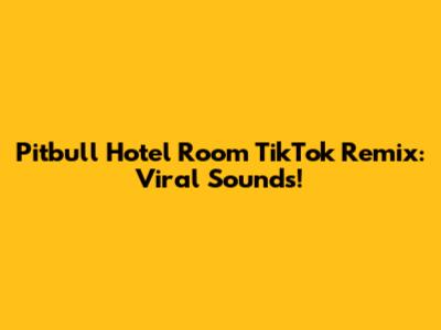 Pitbull Hotel Room TikTok Remix: Viral Sounds!