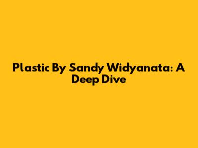 Plastic By Sandy Widyanata: A Deep Dive
