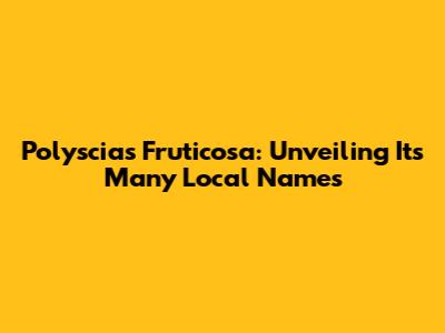 Polyscias Fruticosa: Unveiling Its Many Local Names
