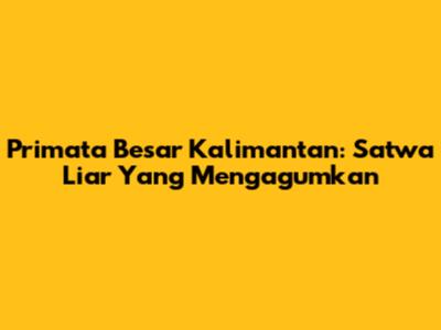 Primata Besar Kalimantan: Satwa Liar Yang Mengagumkan