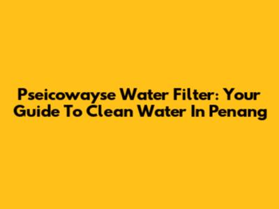 Pseicowayse Water Filter: Your Guide To Clean Water In Penang