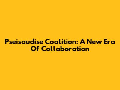 Pseisaudise Coalition: A New Era Of Collaboration
