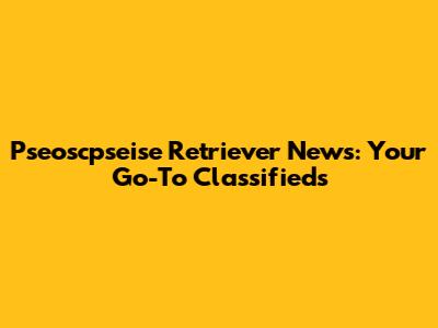Pseoscpseise Retriever News: Your Go-To Classifieds