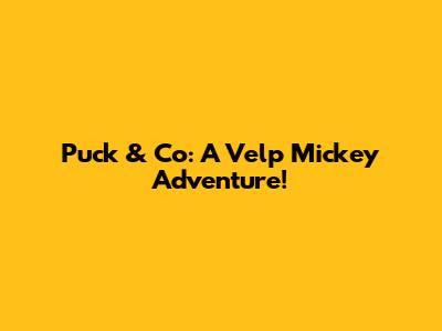 Puck & Co: A Velp Mickey Adventure!