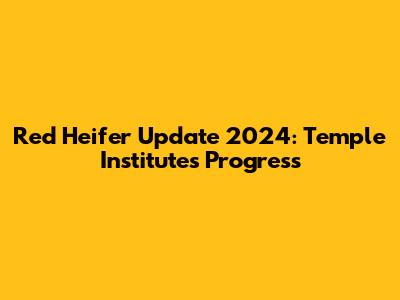 Red Heifer Update 2024: Temple Institute's Progress
