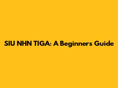 SIU NHN TIGA: A Beginner's Guide