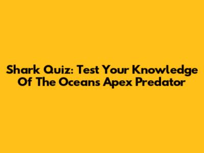 Shark Quiz: Test Your Knowledge Of The Ocean's Apex Predator
