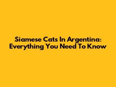 Siamese Cats In Argentina: Everything You Need To Know