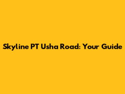 Skyline PT Usha Road: Your Guide