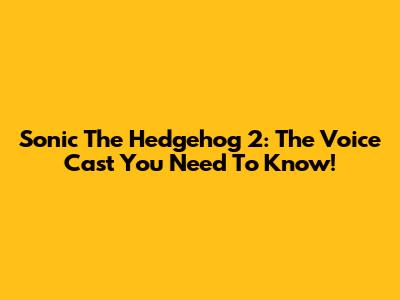 Sonic The Hedgehog 2: The Voice Cast You Need To Know!