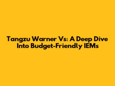 Tangzu Warner Vs: A Deep Dive Into Budget-Friendly IEMs
