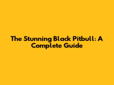 The Stunning Black Pitbull: A Complete Guide