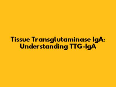 Tissue Transglutaminase IgA: Understanding TTG-IgA