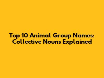 Top 10 Animal Group Names: Collective Nouns Explained