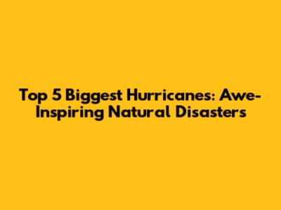 Top 5 Biggest Hurricanes: Awe-Inspiring Natural Disasters