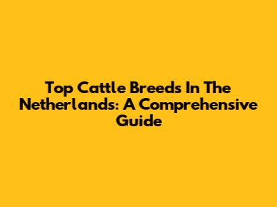 Top Cattle Breeds In The Netherlands: A Comprehensive Guide