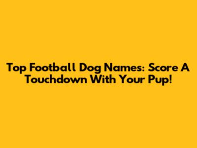 Top Football Dog Names: Score A Touchdown With Your Pup!