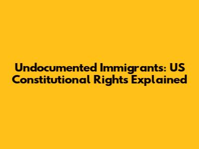 Undocumented Immigrants: US Constitutional Rights Explained