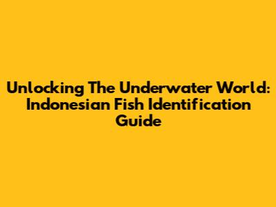 Unlocking The Underwater World: Indonesian Fish Identification Guide