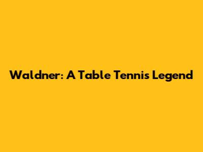Waldner: A Table Tennis Legend