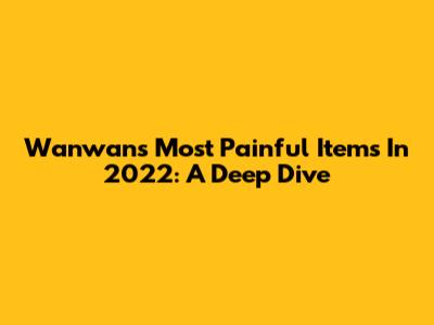 Wanwan's Most Painful Items In 2022: A Deep Dive