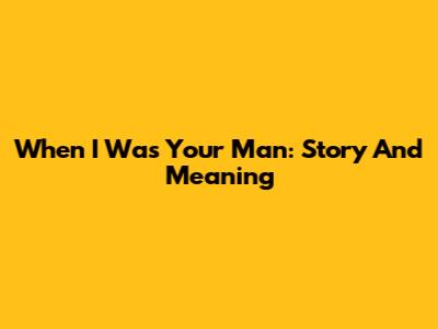 When I Was Your Man: Story And Meaning