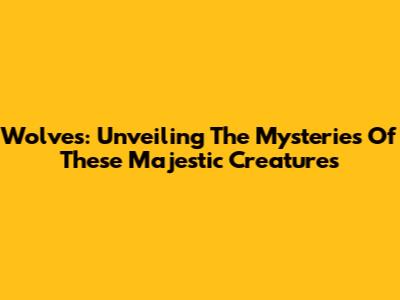 Wolves: Unveiling The Mysteries Of These Majestic Creatures