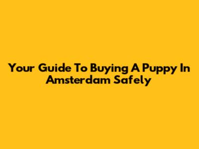 Your Guide To Buying A Puppy In Amsterdam Safely