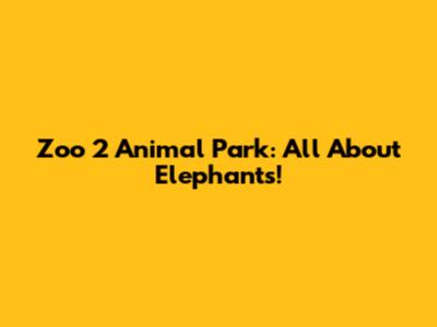 Zoo 2 Animal Park: All About Elephants!